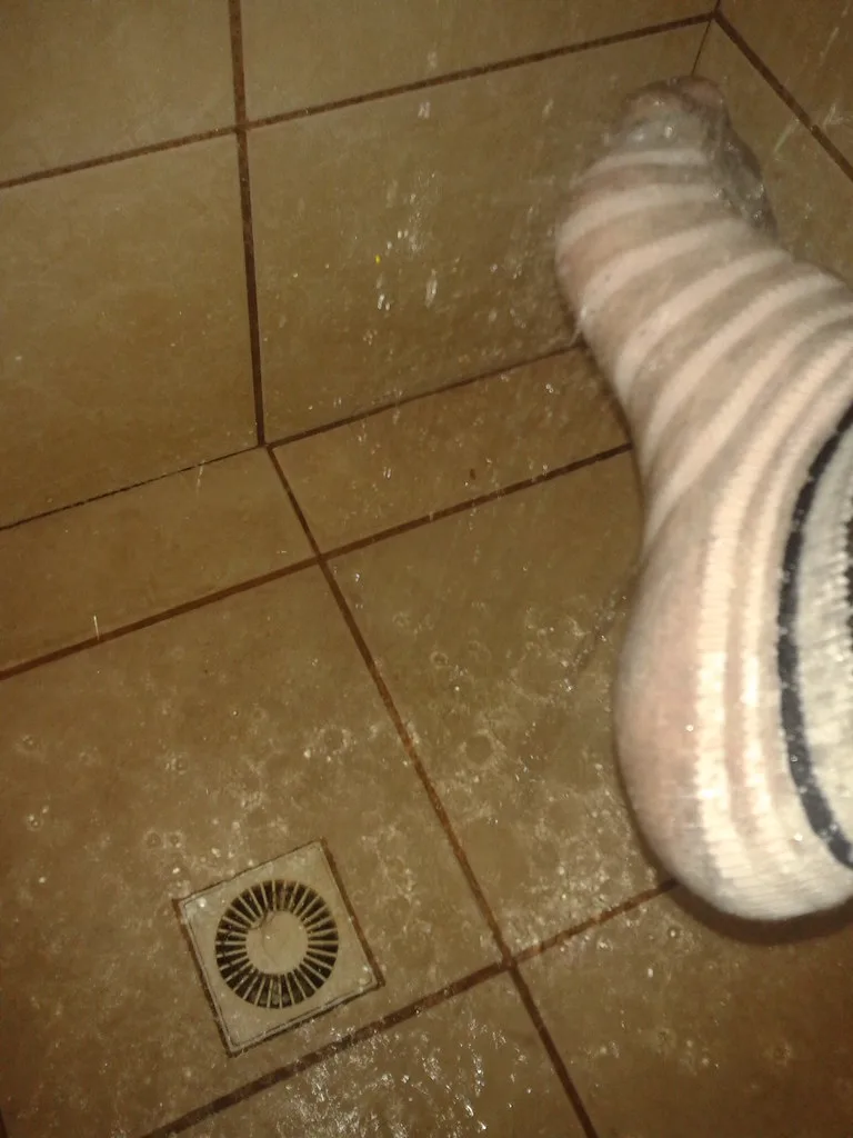 Cotton Socks